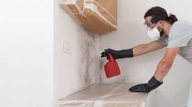 Professional Mold Cleanup technician working in Franklin, GA
