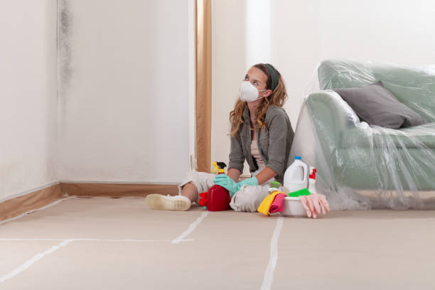 Reliable Mold Cleanup contractor in Franklin, GA by WQB Mold Removal